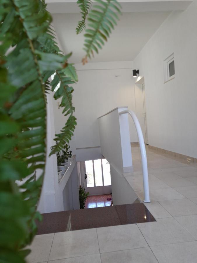 Apartma Kate